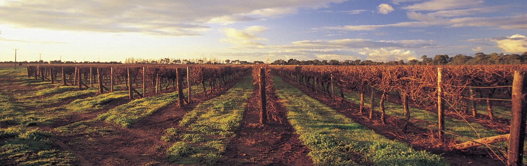 Coonawarra Cabs